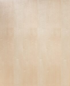 Harmony door style from Candlelight Cabinetry