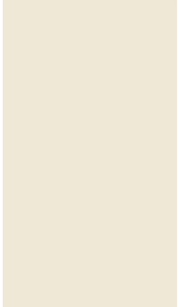 Came Beige door finish from Hampshire Craft European Style