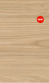 Light Natural Oak door finish from Hampshire Craft European Style